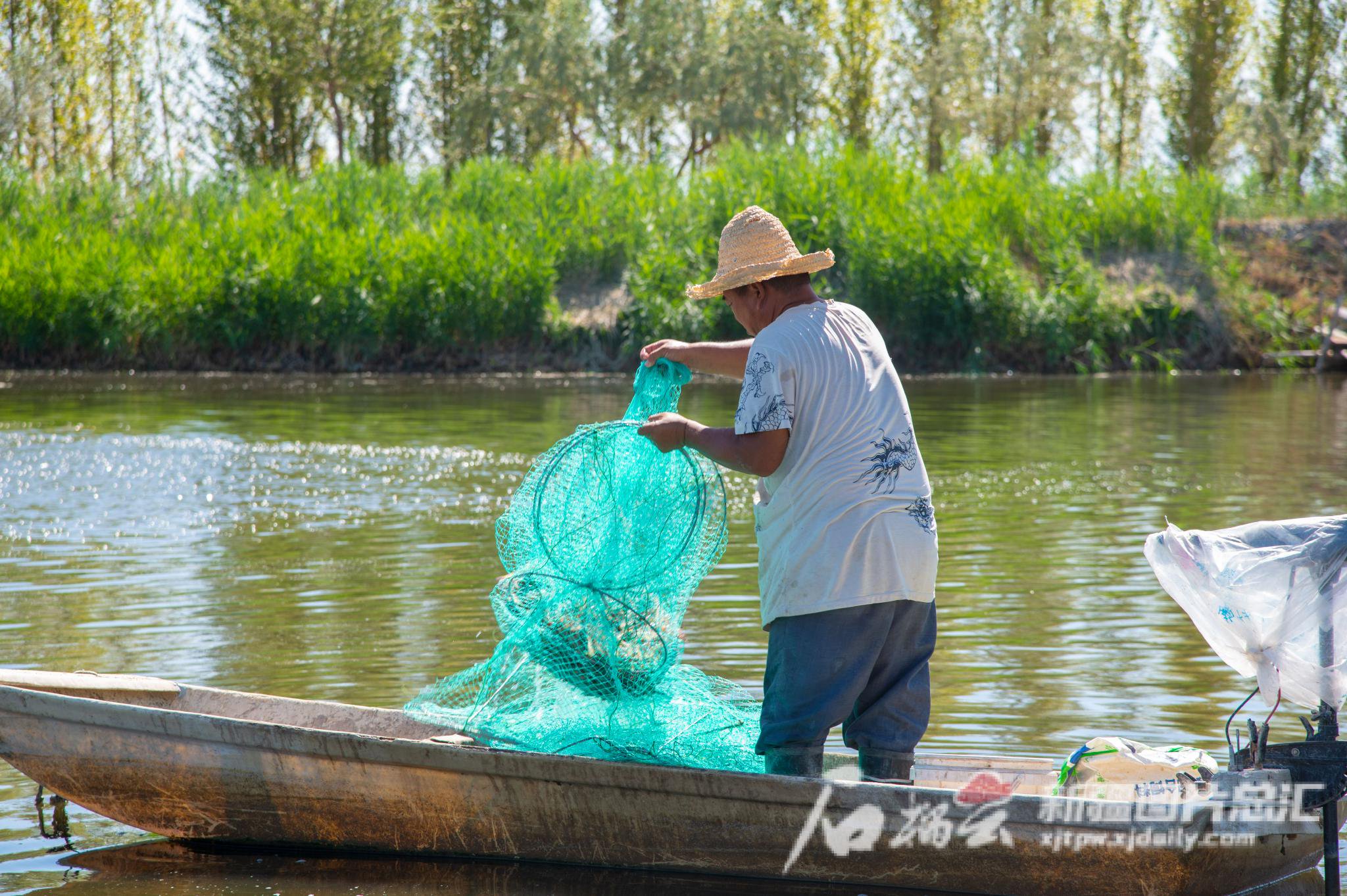 中秋国庆尝“新鲜”丨南美白对虾的养殖秘笈