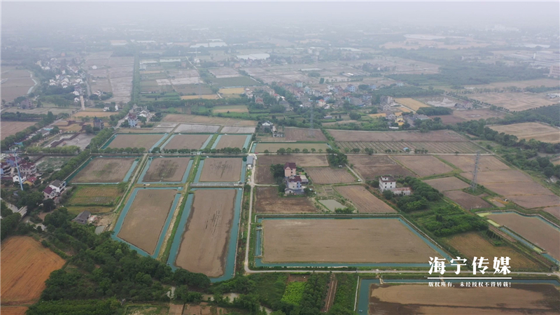 致富经澳洲龙虾养殖全部视频_致富经澳洲淡水龙虾养殖视频_澳洲淡水小龙虾致富经