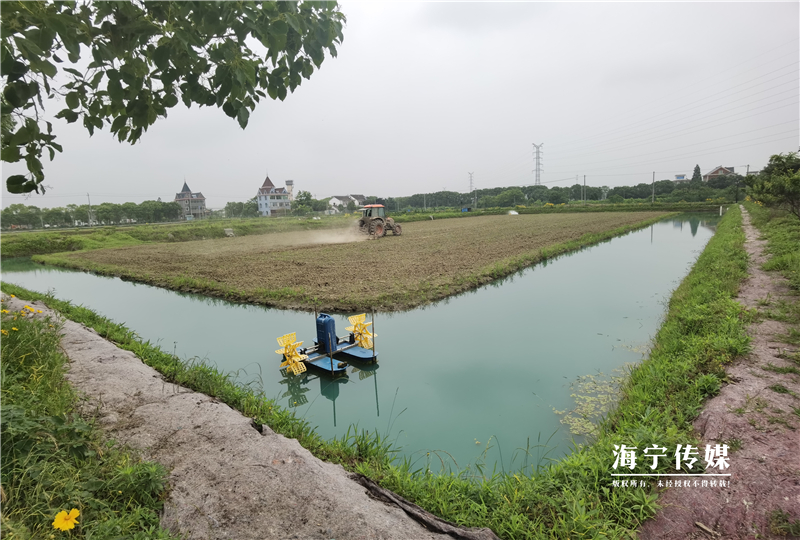 致富经澳洲龙虾养殖全部视频_致富经澳洲淡水龙虾养殖视频_澳洲淡水小龙虾致富经