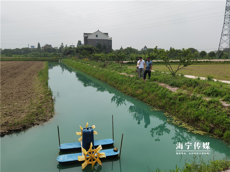 澳洲淡水小龙虾致富经_致富经澳洲龙虾养殖全部视频_致富经澳洲淡水龙虾养殖视频