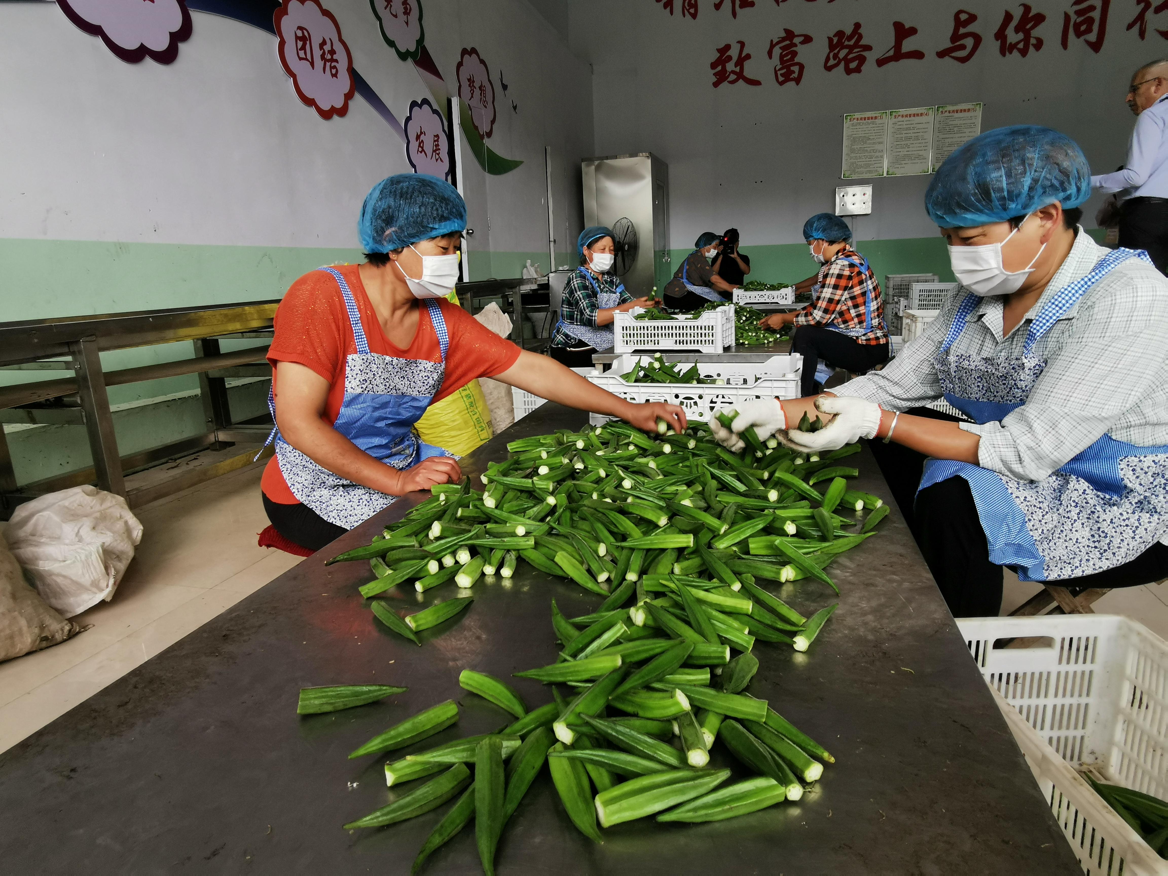 沂源 致富经_沂源县富豪_沂南致富