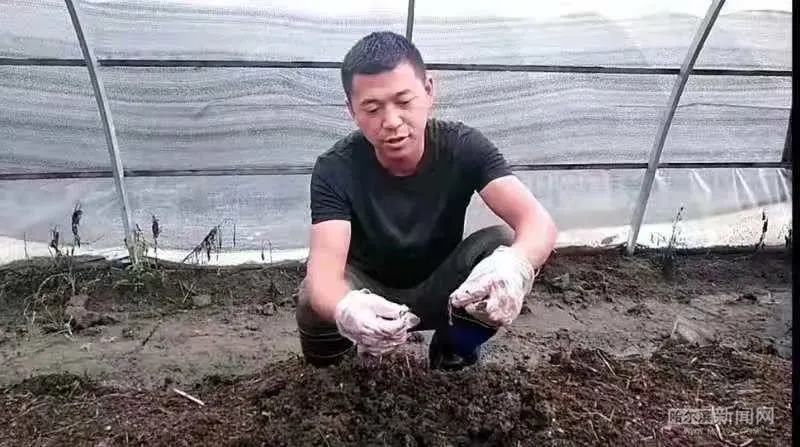 养殖蚯蚓技术了视频_养殖蚯蚓技术高吗_蚯蚓养殖技术