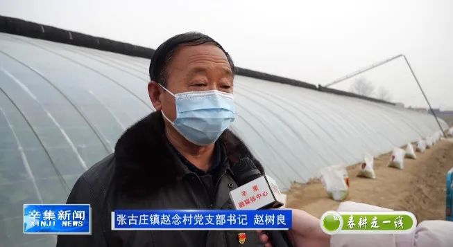 茄子种植效益_致富经种植茄子致富_致富茄子种植方法