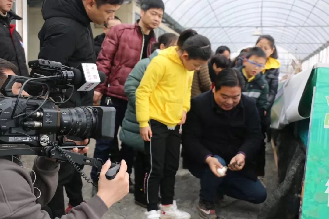 养殖泥鳅富豪_cctv7致富经泥鳅养殖_泥鳅养殖户抱团致富