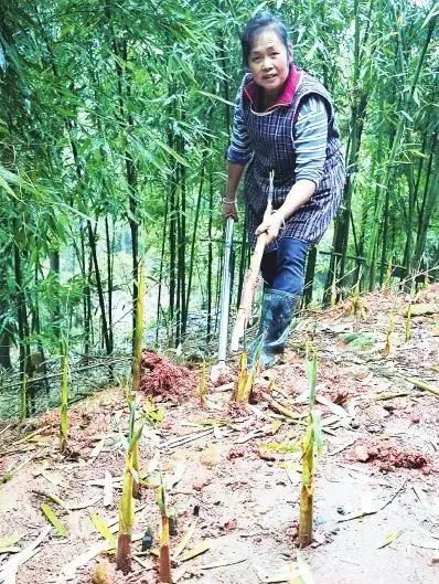 致富有方_致富经贮藏_致富致富
