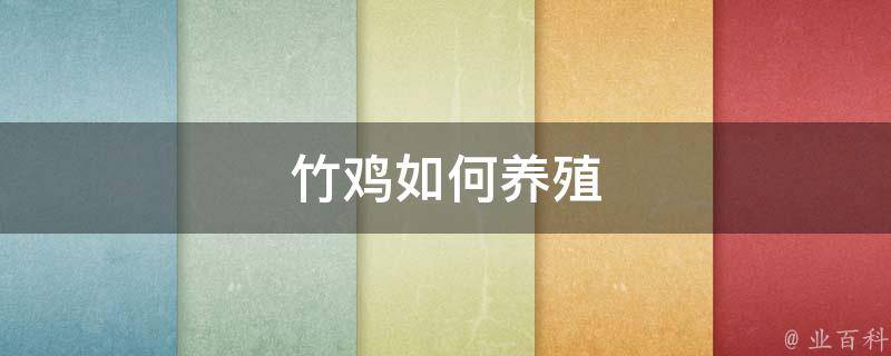 养竹鸡致富视频_竹鸡养殖技术致富经_致富经竹鸡养殖技术