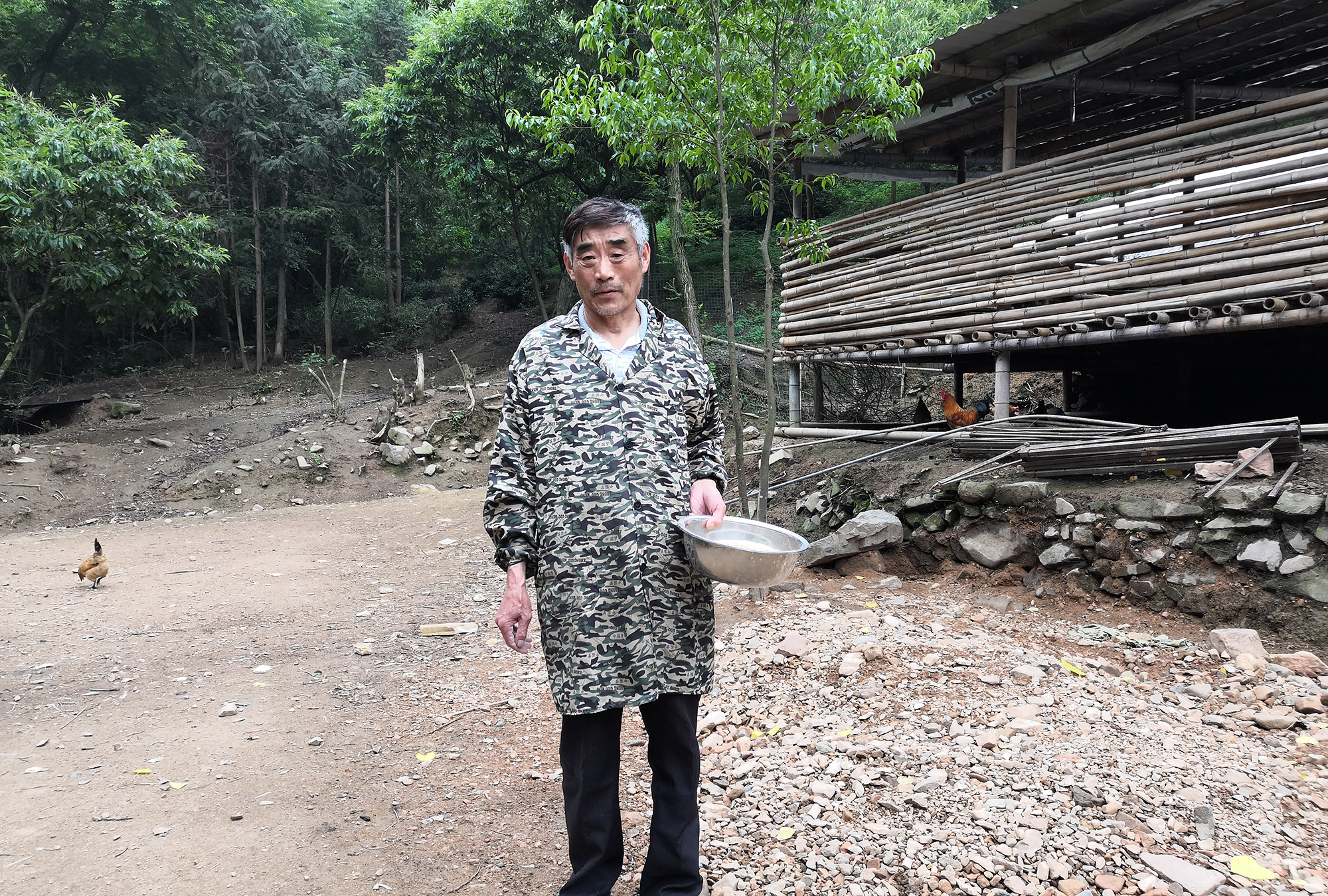 致富养殖村民土鸡视频_土鸡养殖致富经2019年全集_村民养殖土鸡致富