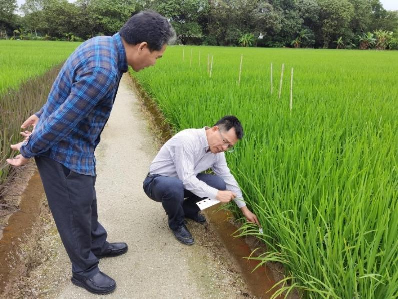 休闲养殖致富项目_致富养殖休闲项目介绍_致富养殖休闲项目有哪些