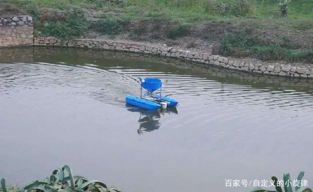致富养殖项目农村_致富养殖农村项目招标_农村致富养殖项目大全