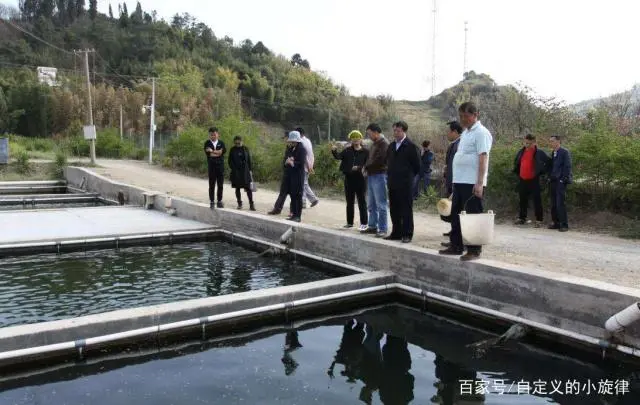 农村致富养殖项目大全_致富养殖项目农村_致富养殖农村项目招标