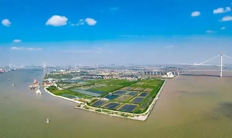 番禺海鸥岛上，正崛起一座“渔业王国”！