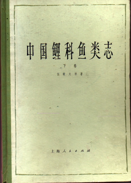 沙包鱼好吃吗_鸭绿江沙包鱼养殖技术_沙包鱼是什么