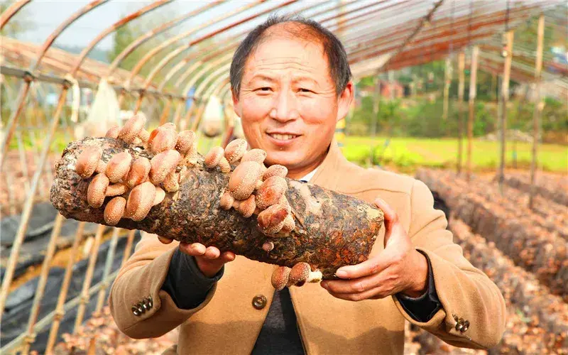 种植致富宝典pdf_致富技术宝典汇编_致富宝典表情包