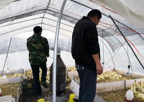 贵州养殖致富创业_贵州养殖户_2020贵州养殖扶贫项目