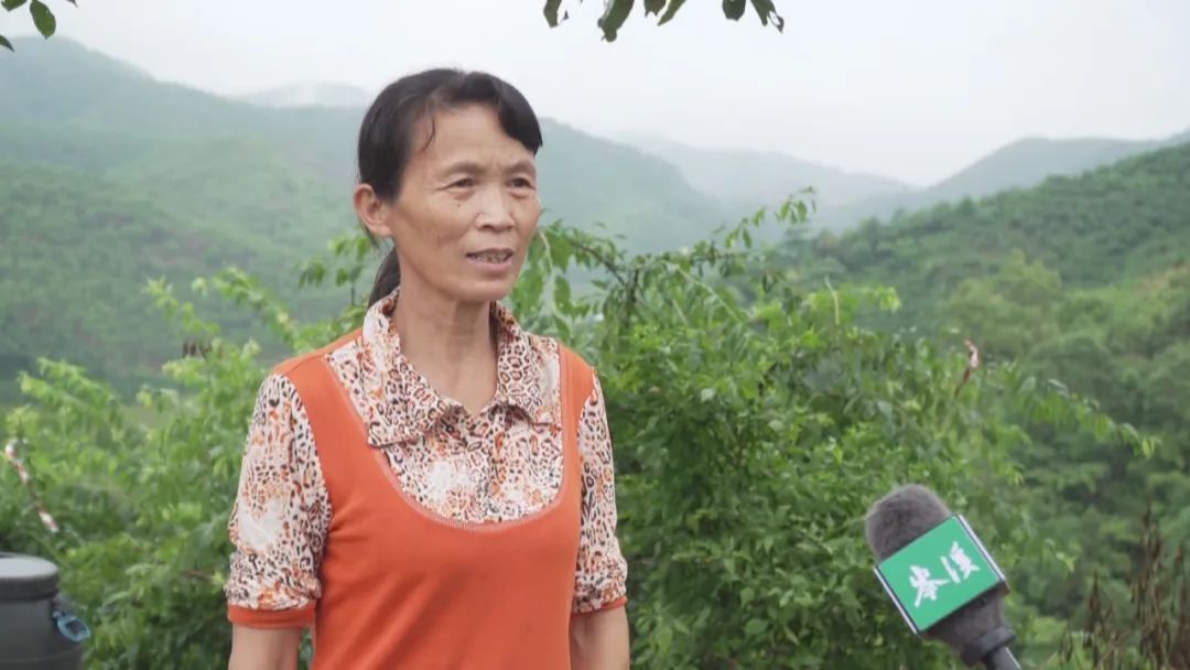 种植 特色 致富 评论_种植致富案例_致富种植特色评论文案