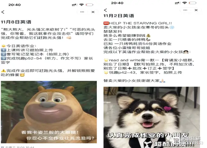 网课经验分享活动总结_网课的经验分享_优质网课分享经验
