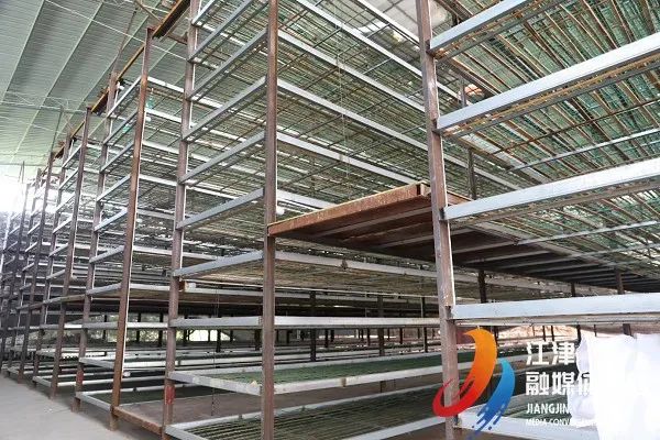 蚕养殖视频_小蚕宝宝养殖技术_养蚕宝宝的步骤