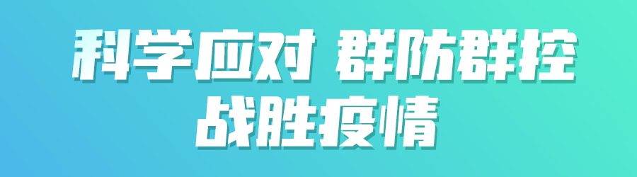 玫瑰茄种植视频_玫瑰茄种植致富_致富玫瑰种植茄子视频