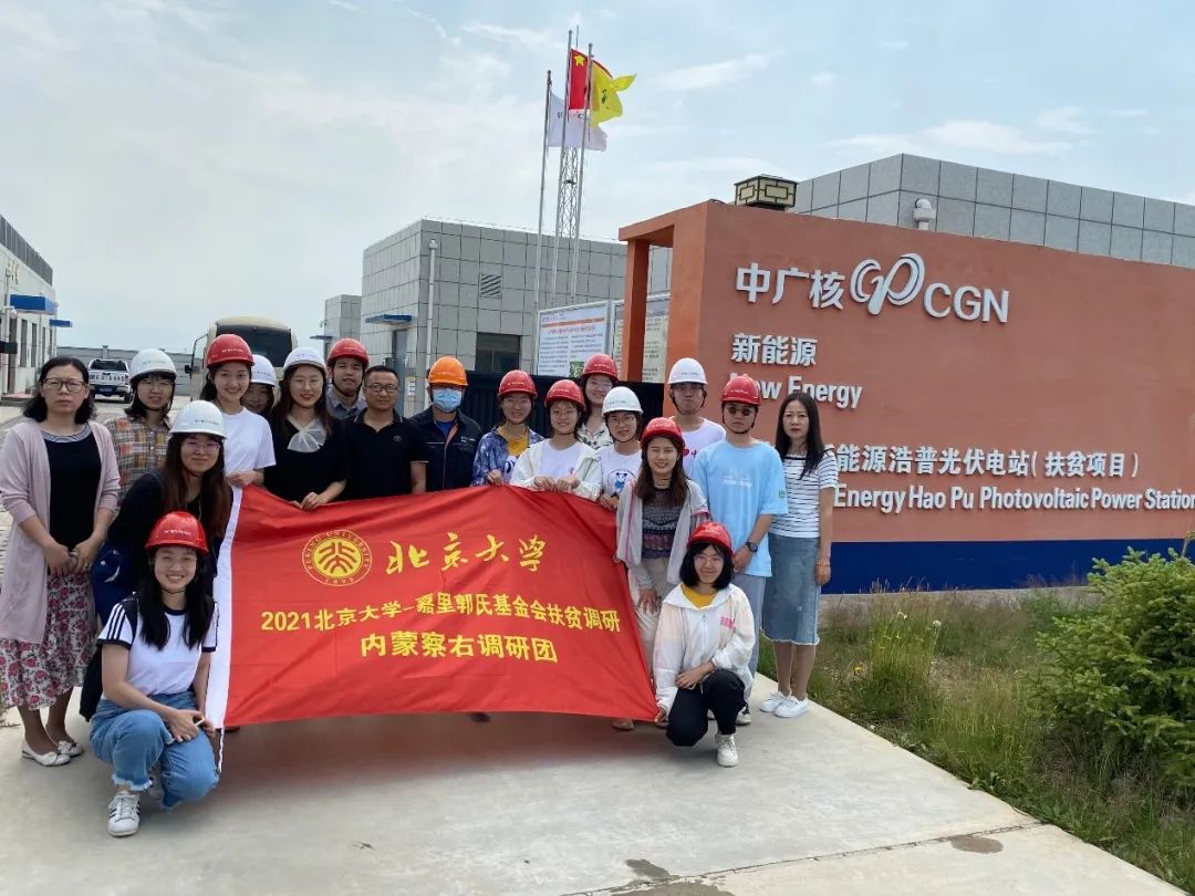 人参种植技术视频播放_种植人参赚钱吗_致富经人参种植视频