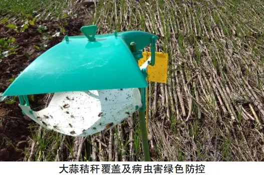 农业致富种植方法_农民种植致富_致富种植农业方法视频