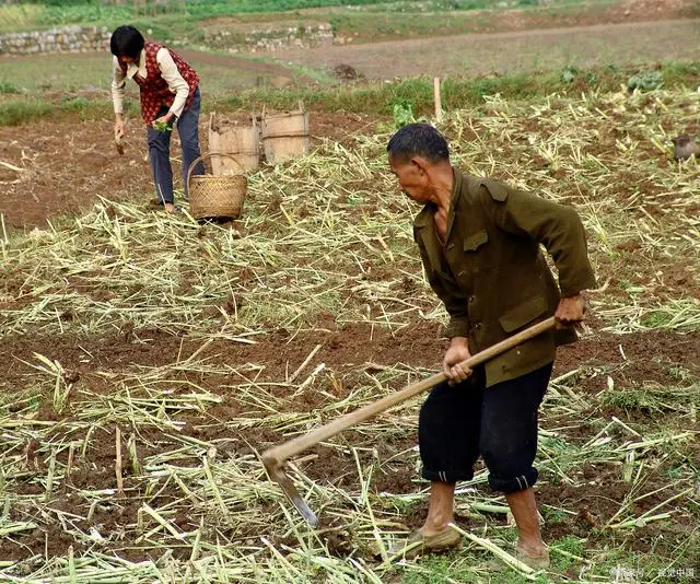 农民应该怎么样种地才可以赚钱？