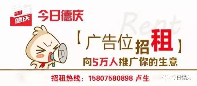 竹子种植致富视频_视频致富竹子种植图片_视频致富竹子种植视频大全