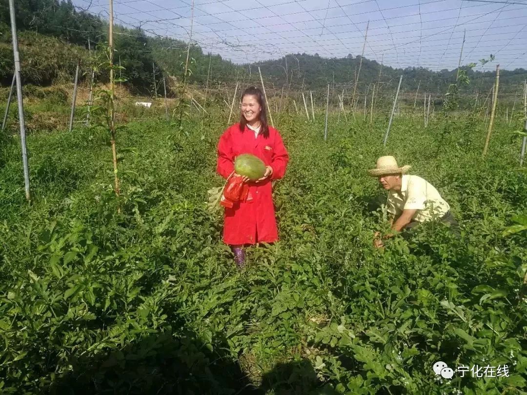 种竹子的视频_竹子种植致富视频_视频致富竹子种植教程