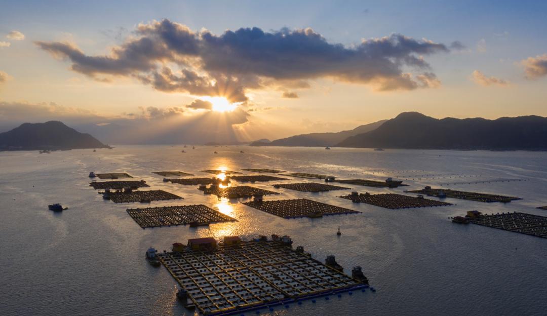 致富养殖海洋上的鱼_海洋上养殖致富_海洋养殖产品