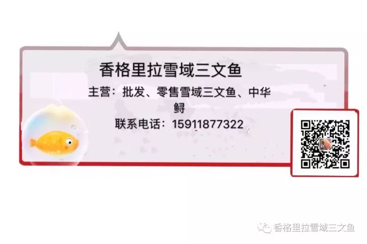 三文鱼产品多少钱一支_致富经三文鱼_致富经(三文鱼