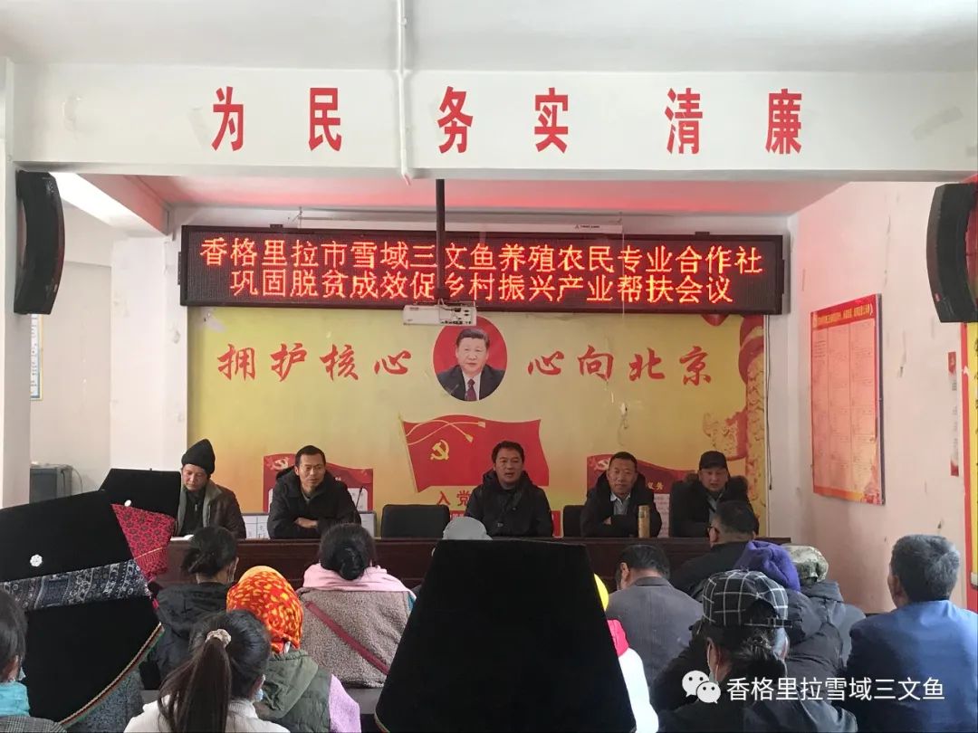 三文鱼产品多少钱一支_致富经(三文鱼_致富经三文鱼