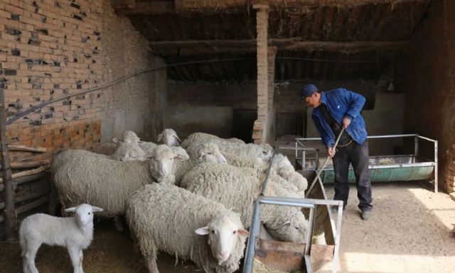 致富养殖好项目大全_赵长宁养殖致富_养殖致富经