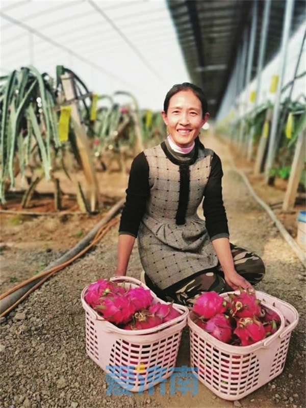 致富果树_致富果怎么种植_种植致富业