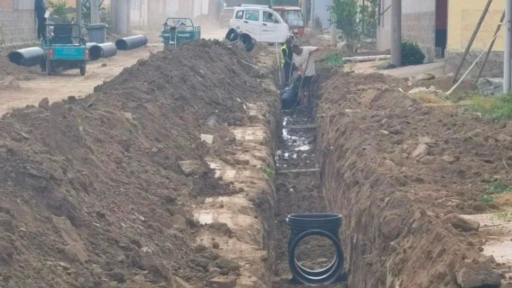 致富经黄瓜种植技术_致富黄瓜种植技术视频教程_黄瓜种植高产技术