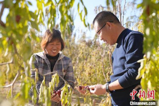 红枣种植户喜笑颜开。　塔依尔·艾力 摄