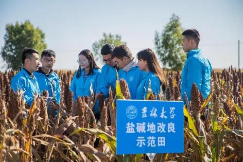 致富养殖青年项目介绍_青年养殖致富项目_致富养殖好项目