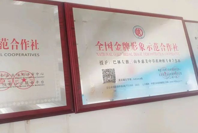 80后中药种植致富_中药材致富_致富经种植中药材视频