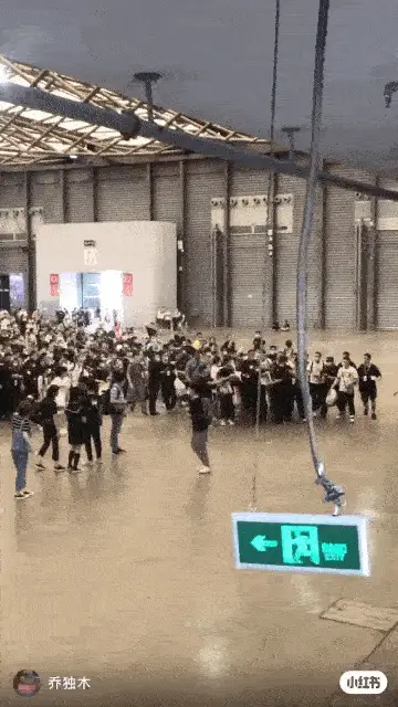 视频致富养殖黄牛骗局揭秘_致富经养殖黄牛视频_视频致富养殖黄牛是真的吗
