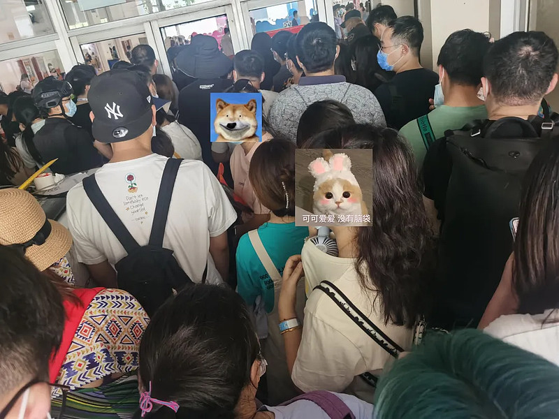 cctv7黄牛的养殖视频_致富经养殖黄牛视频_视频致富养殖黄牛骗局揭秘