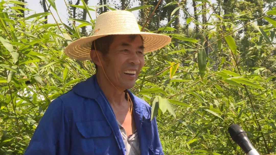 种植雷竹国家有补助_种植雷竹致富_种雷竹的成本及利润