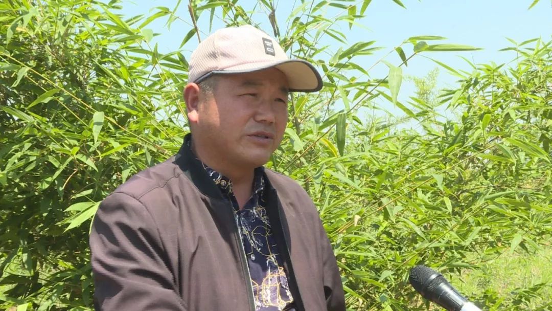 种植雷竹致富_种雷竹的成本及利润_种植雷竹国家有补助