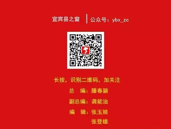 宜宾种植致富模式_宜宾主要种植什么农作物_宜宾致富石材