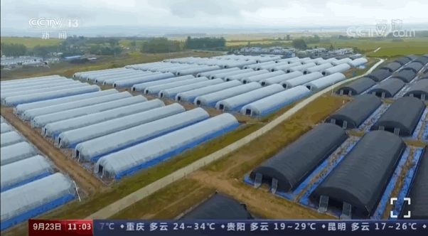 黄牛养殖致富经视频_视频致富养殖黄牛骗局揭秘_致富经养殖黄牛视频