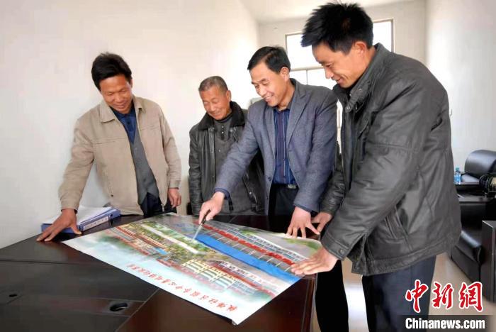 安徽种植什么_安徽种植致富项目_安徽种植基地