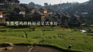 多维喂鸡拌料好还是饮水好