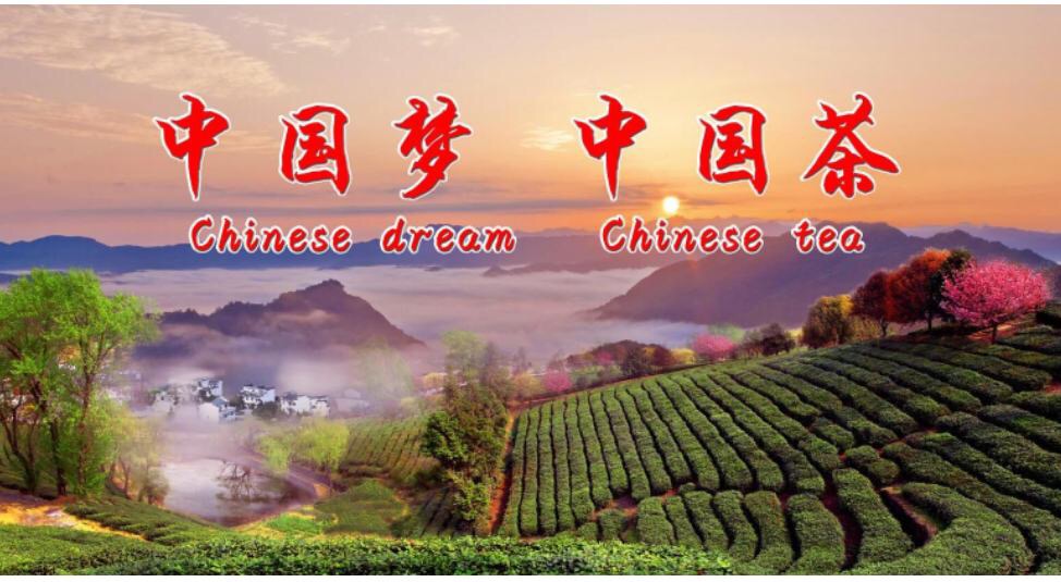夏季避暑茶旅线路：陕西平利-古茶之源·安康秦汉古茶美丽乡村游