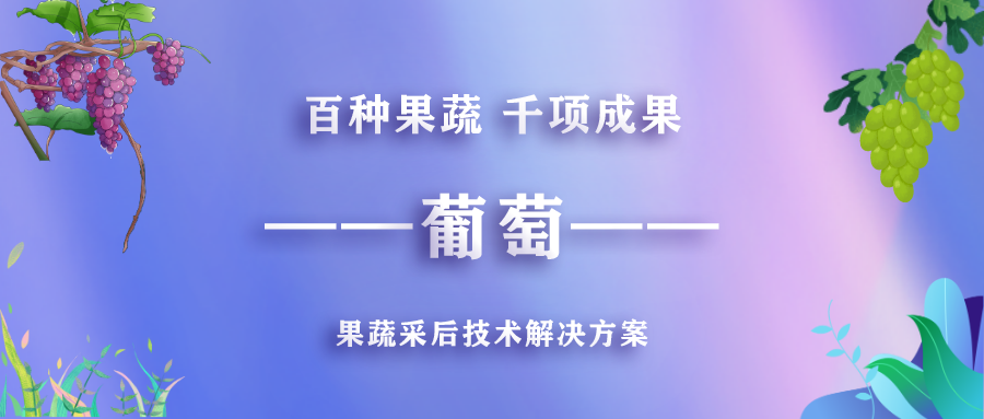 百种果蔬 千项成果——葡萄采后技术解决方案