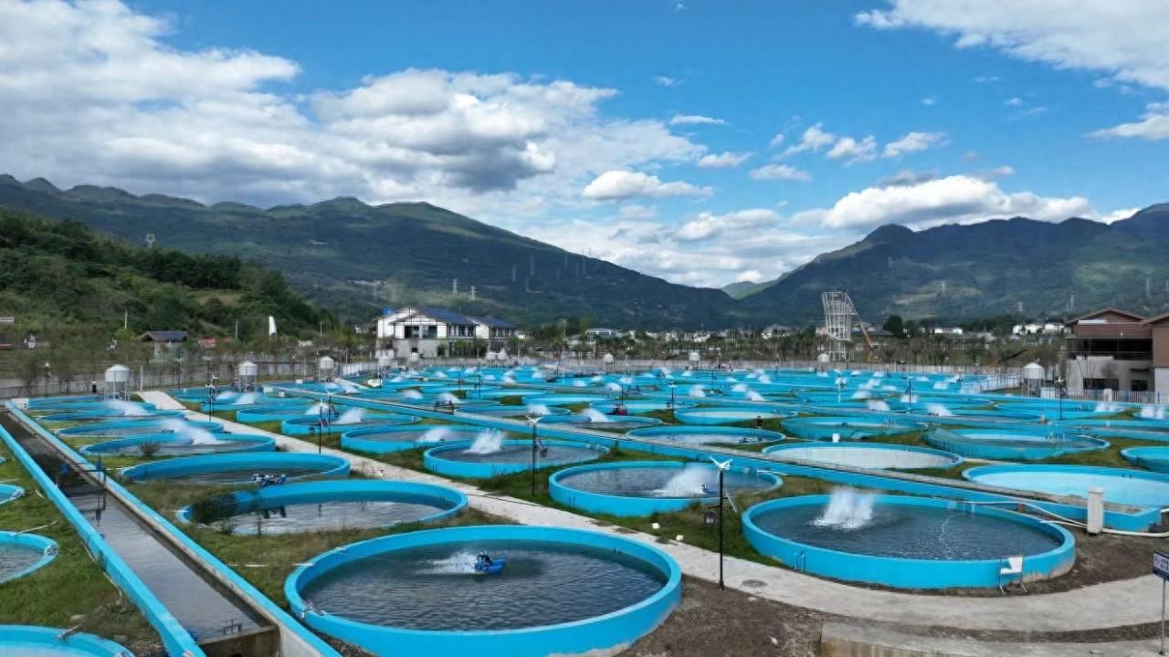 年产冷水鱼3万斤！四川芦山水产养殖为乡村振兴注入新活力