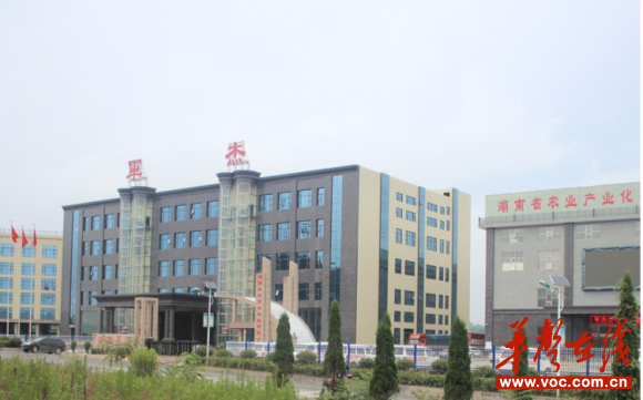 隆回“辣椒兄弟” 带领乡亲迈上“红火”致富路 华声在线邵阳频道
