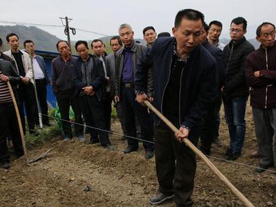 中农绿亨种子商城：海口常年蔬菜基地建设达到48500亩