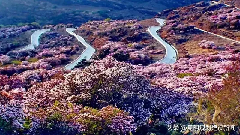 学习“千万工程”，轿子山下美丽乡村蝶变！
